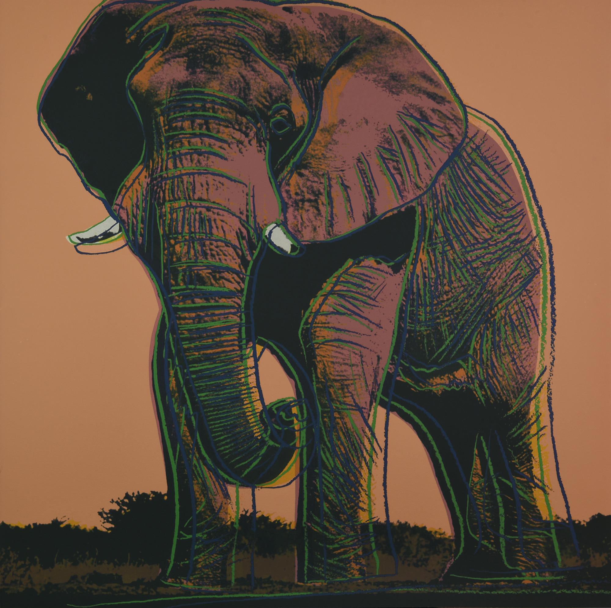 Da Andy Warhol AFRICAN ELEPHANT stampa tipografica su carta cotone, cm 96,5x96,5