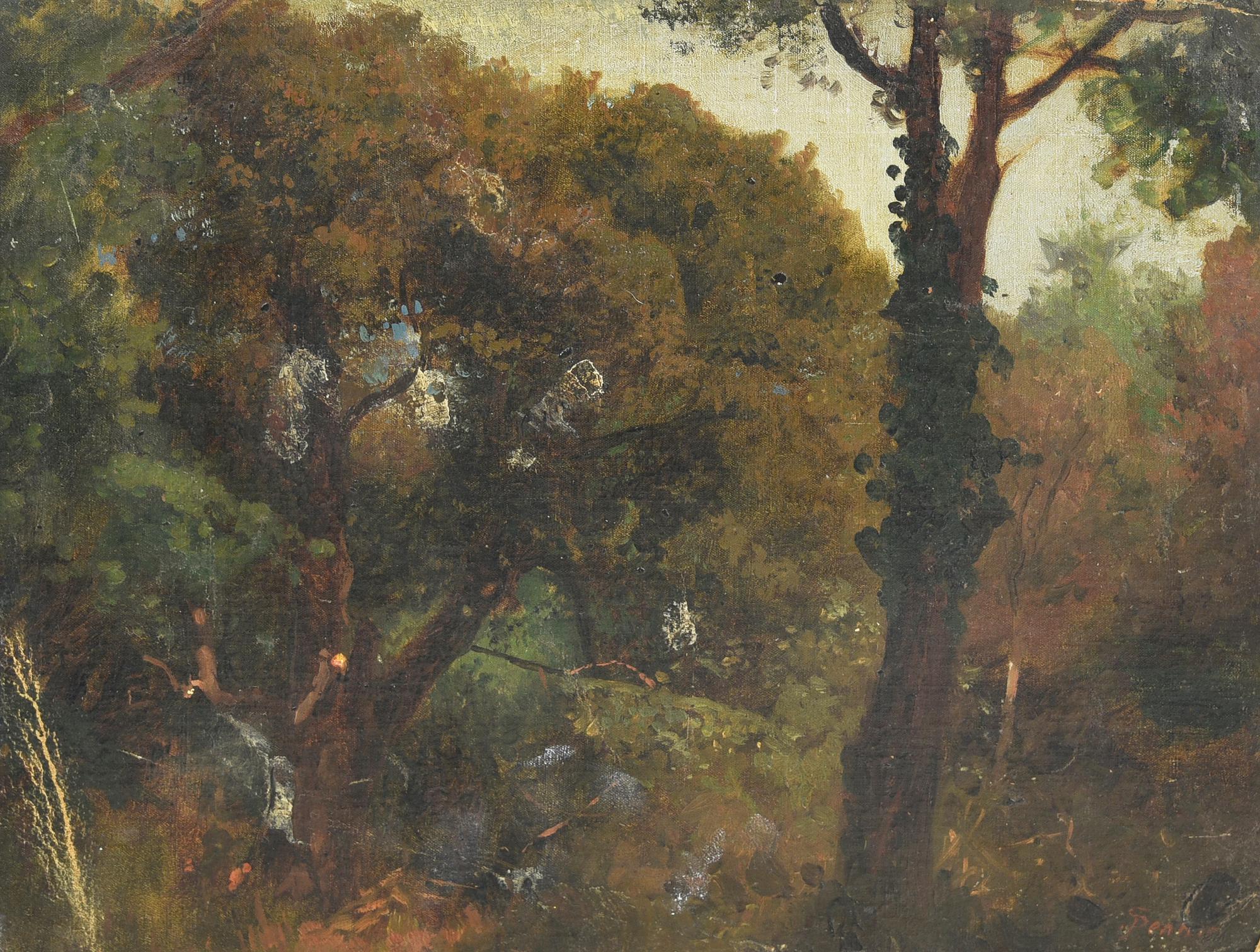Pietro Senno (1831 - 1905) BOSCO olio su cartone, cm 25x32 firma
