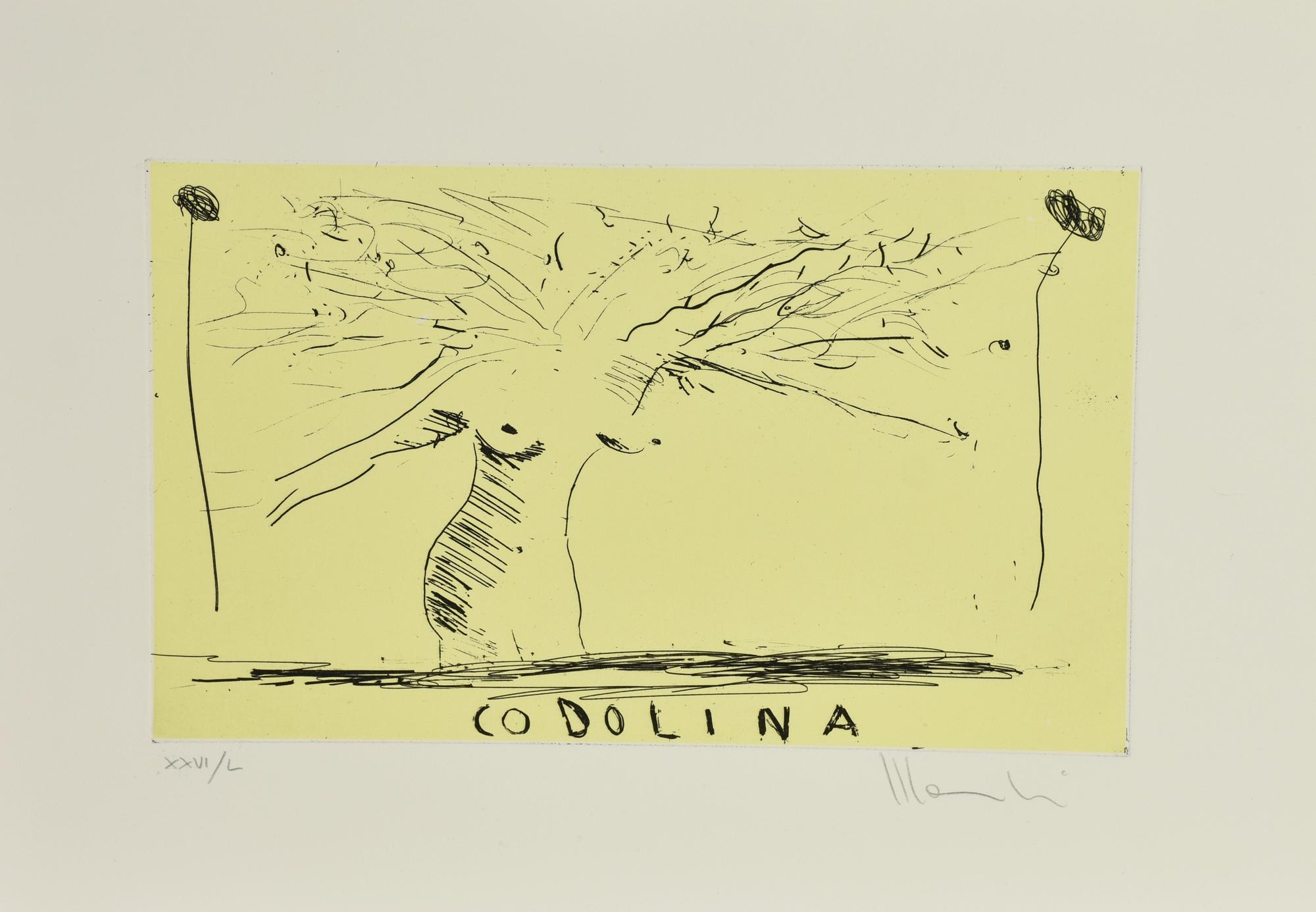 Aldo Mondino CODOLINA incisione, cm 18,7x28,5, su foglio 30x40; es. XXVI/L...