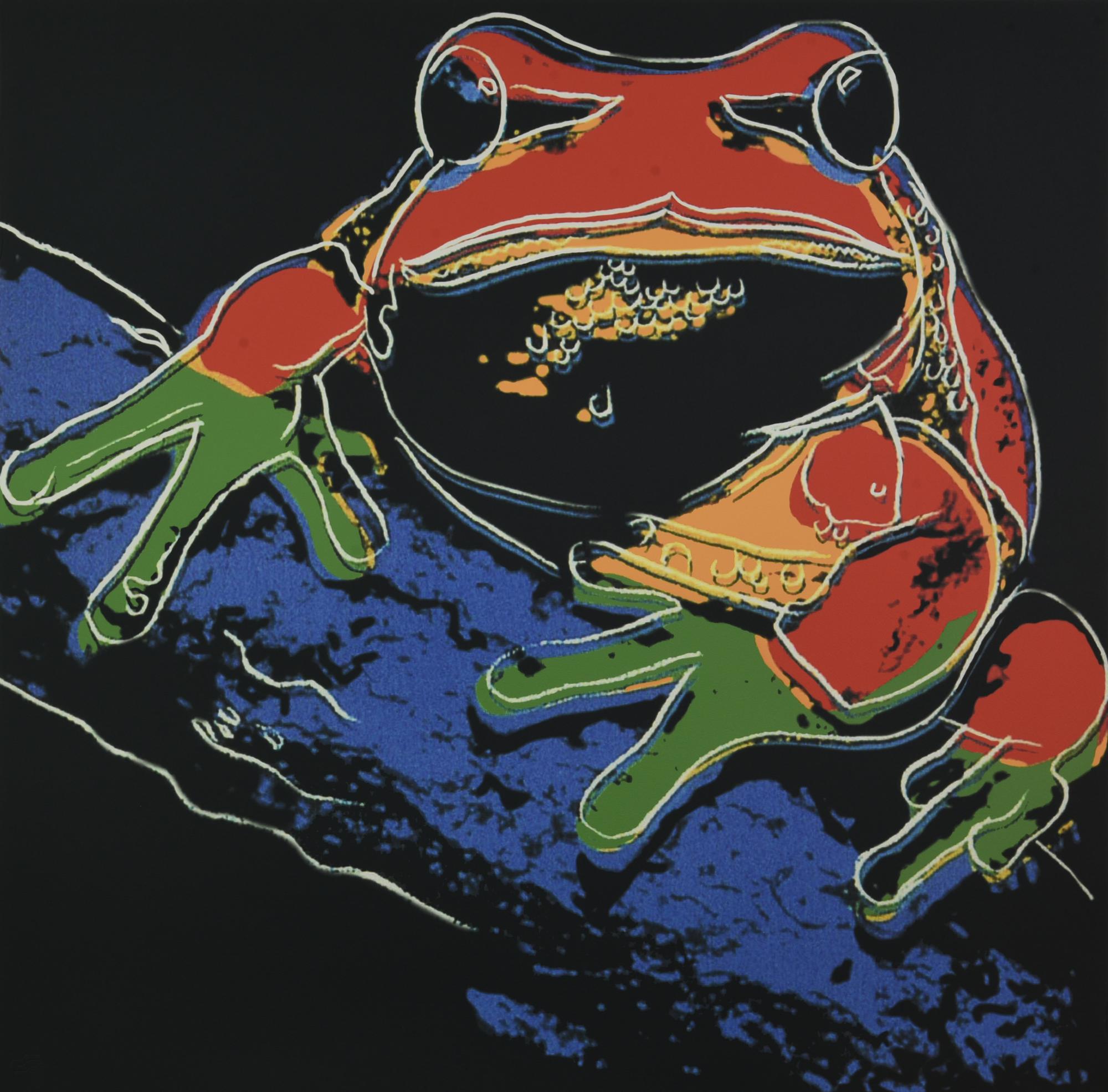 Da Andy Warhol PINE BARRENS TREE FROG stampa tipografica su cartoncino, cm...