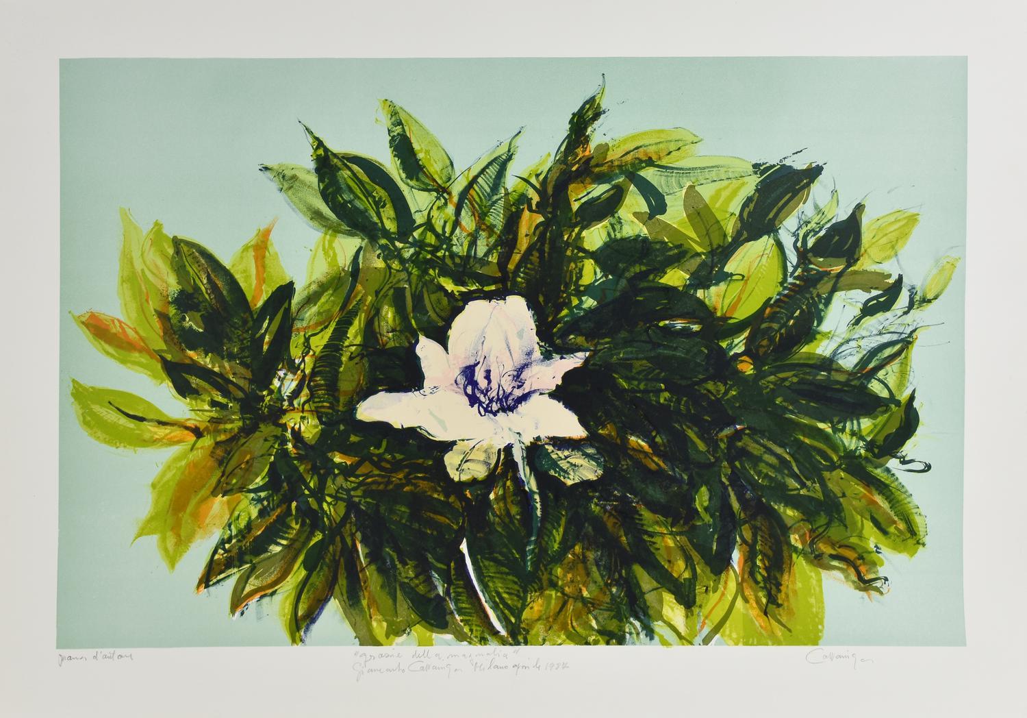 Giancarlo Cazzaniga MAGNOLIA litografia, cm 50x70; es. P.A. firma, tiratura e...