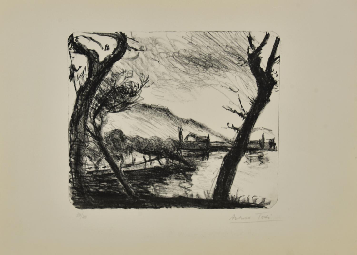 Arturo Tosi OLIVE GROVE IN PREDORE litografia, cm 38x54; es. 34/40 firma e...