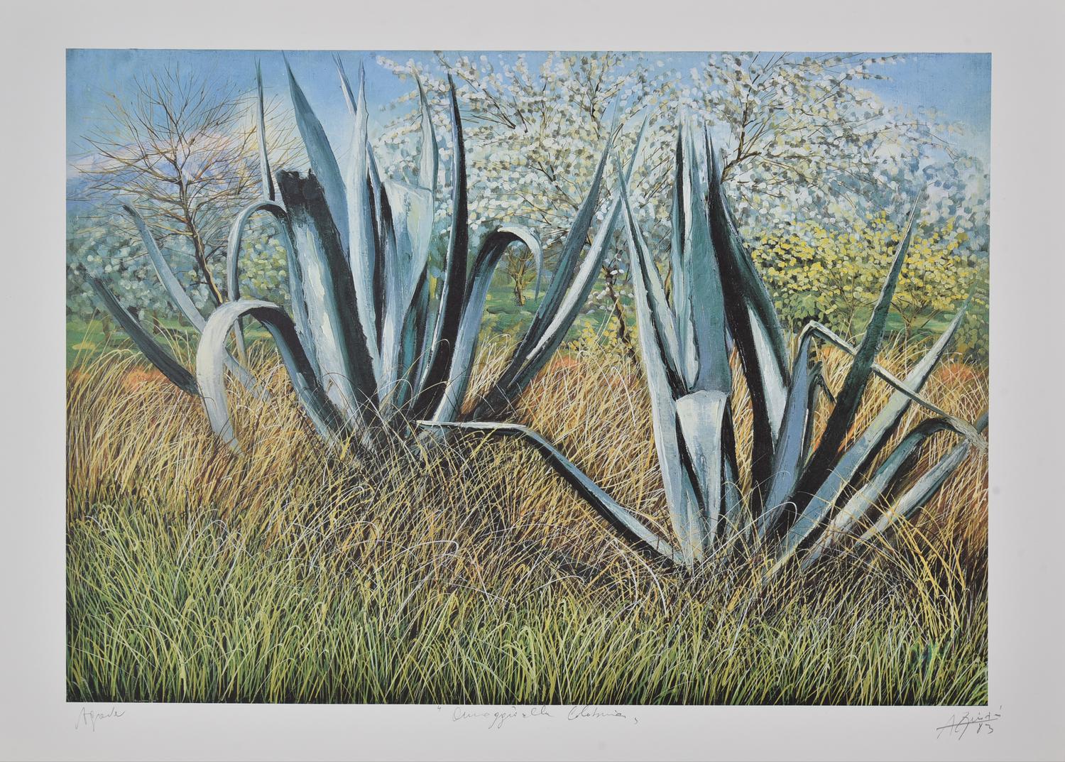 Franco Azzinari AGAVE - OMAGGIO ALLA CALABRIA, 1983 stampa tipografica, cm...