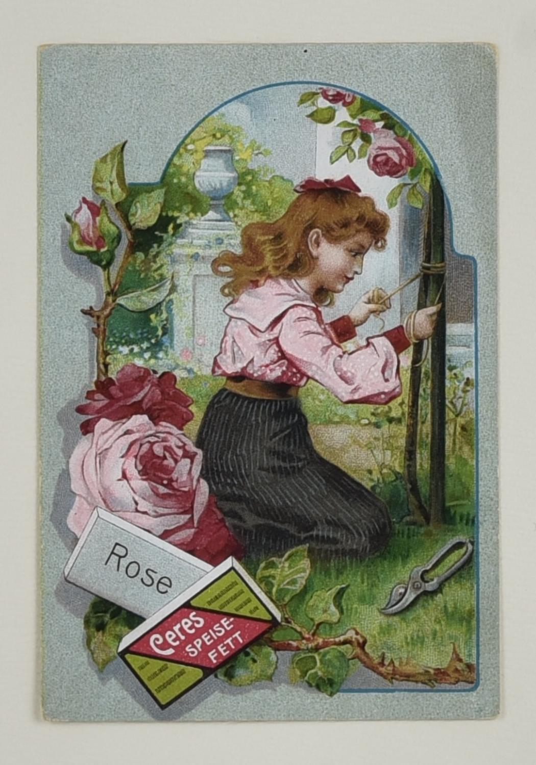 ROSE, 1880 circa cromolitografia, cm 25,5x21,7 (con cornice) sul retro:...