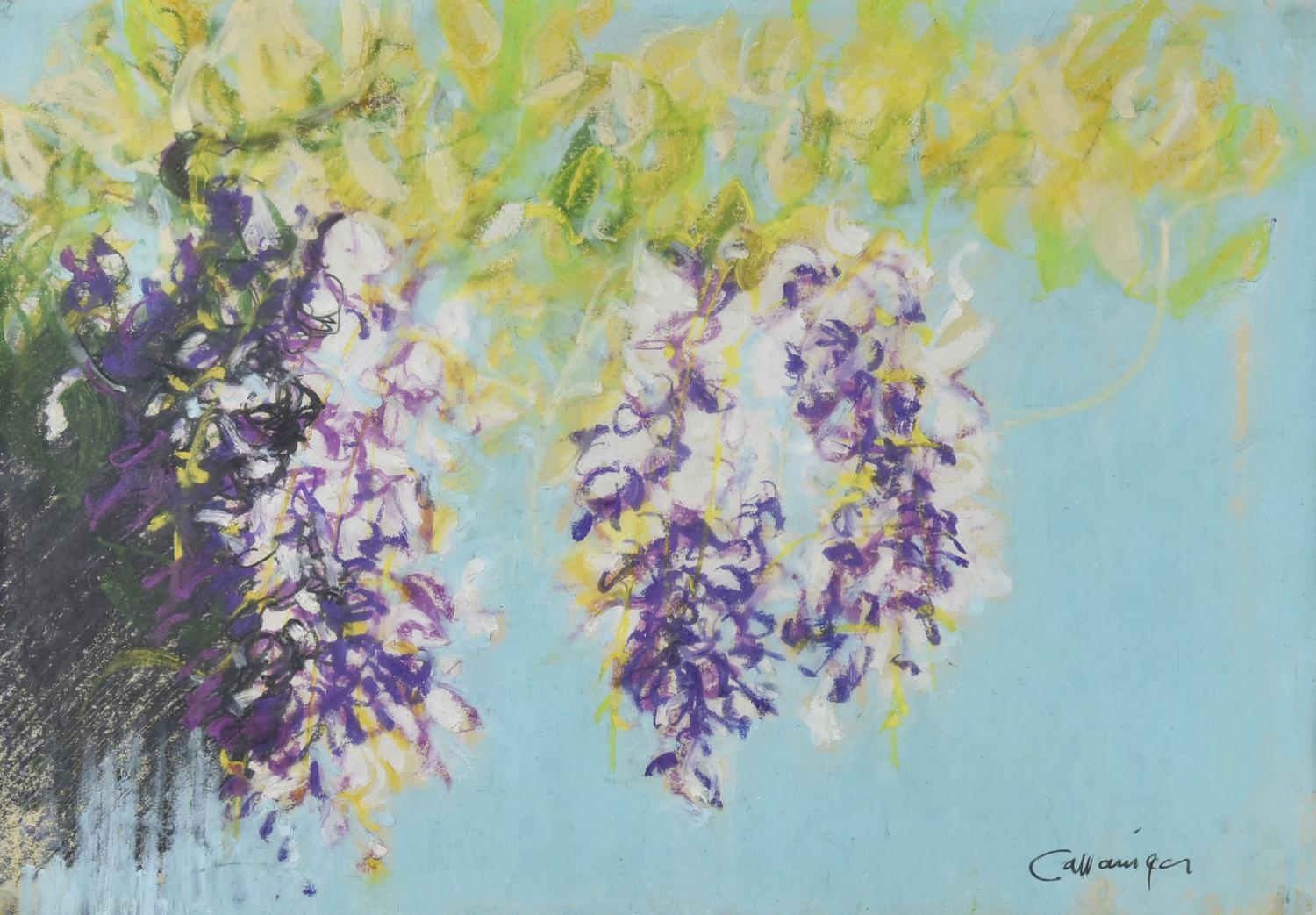 Giancarlo Cazzaniga (1930 - 2013) GLICINE pastelli su carta, cm 35x50 firma