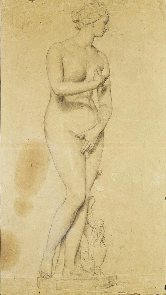 Daniele Ranzoni STUDIO DA GESSO GRECO-ROMANO: VENERE DI CNIDOS, 1860...