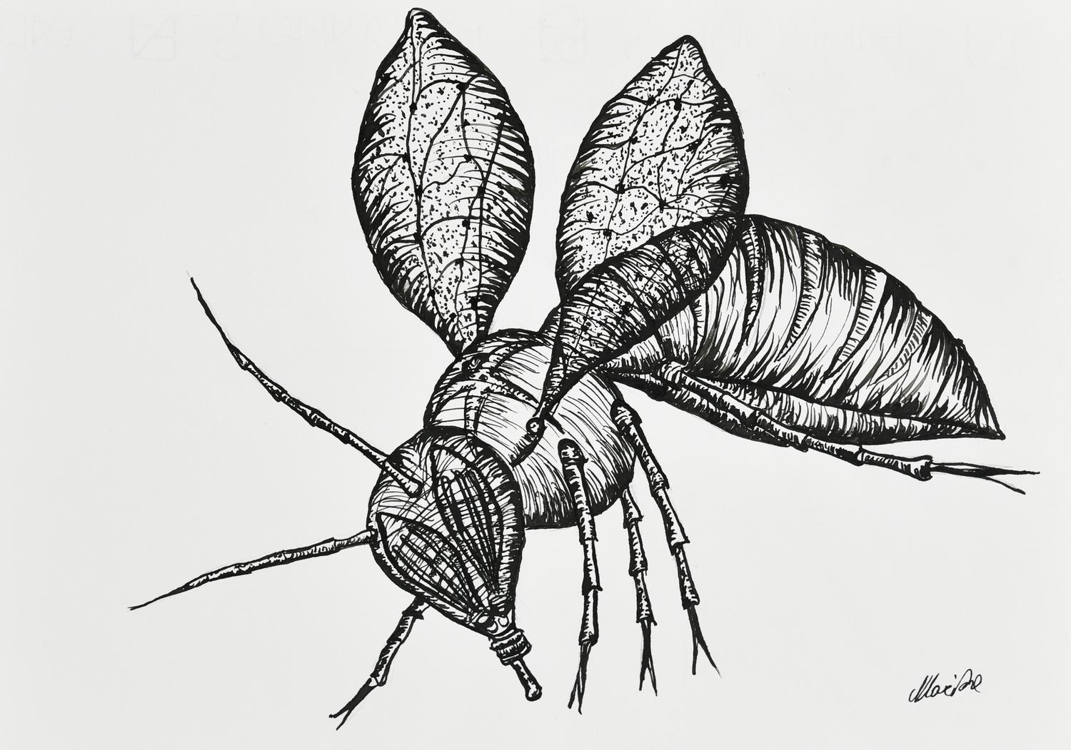 Danilo Marchi APE BIONICA china su cartoncino Fabriano, cm 24x33 firma