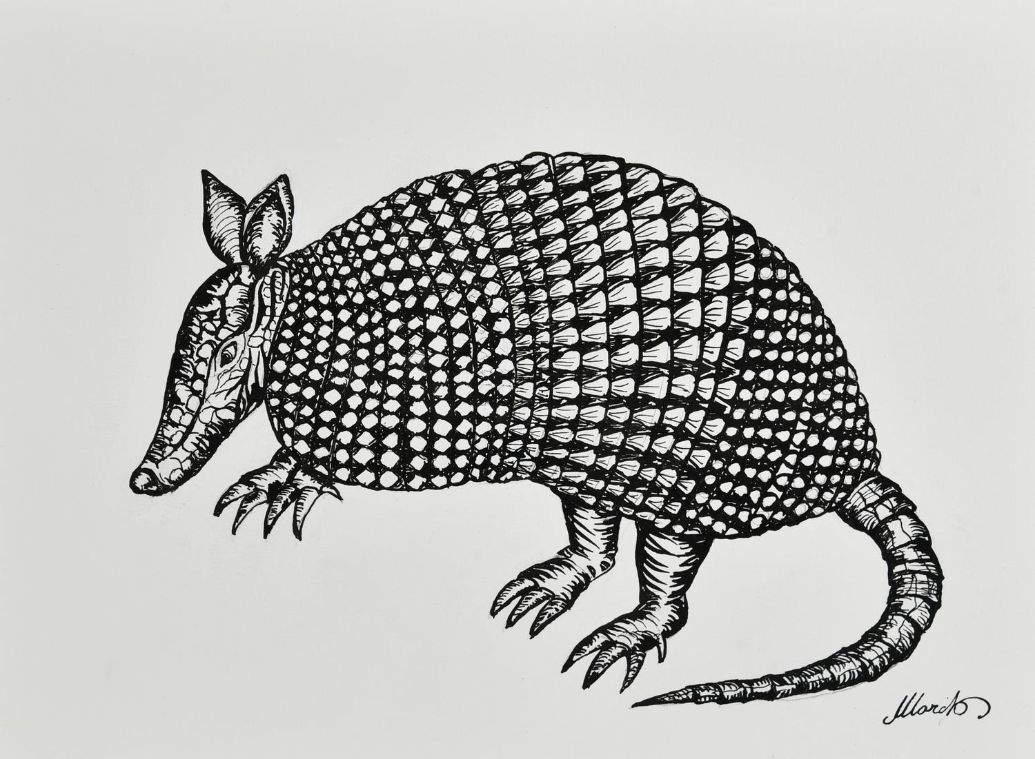 Danilo Marchi ARMADILLO china su cartoncino, cm 24x33 firma